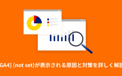 [GA4] (not set)が表示される原因と対策を詳しく解説